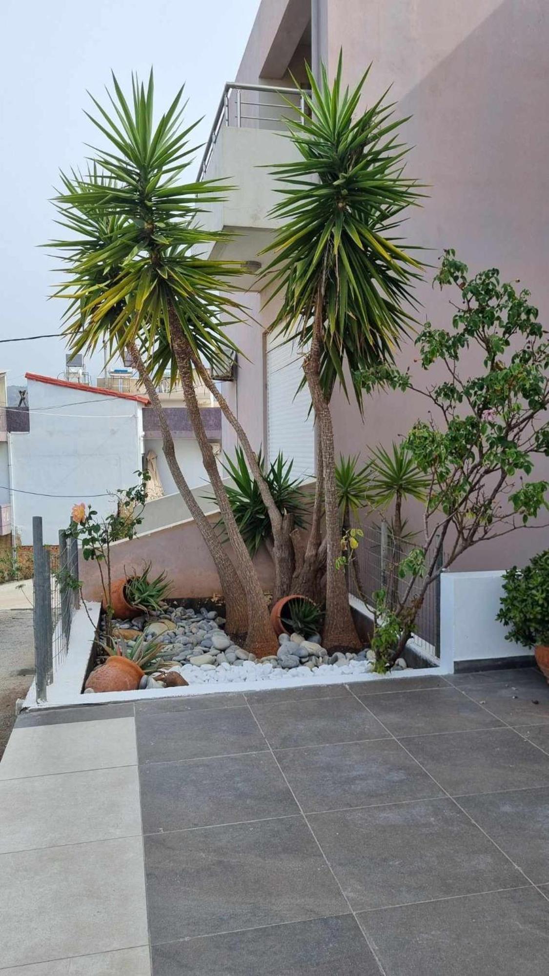 Chania Four Seasons Maisonette חדר תמונה